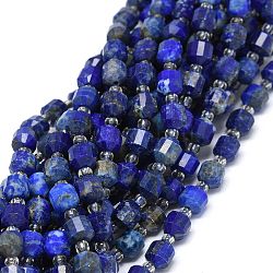 Filo di Perle lapis lazuli naturali , con perline semi, sfaccettato, bicono, perline prisma a doppia punta terminata, 5~7x6mm, Foro: 0.8 mm, circa 48pcs/filo, 15.55 pollice (39.5 cm)