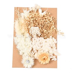 Fleur séchée, pour la douche nuptiale, mariage, fleur fraîche conservée, floral blanc, 210x148x14~24.5mm