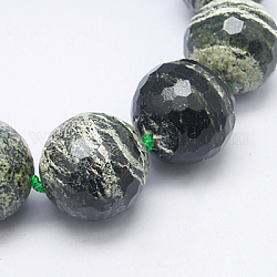 Fili di perline di diaspro naturale linea argento, sfaccettato, tondo, 30mm