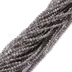 Katzenauge Perlen Stränge, Runde, facettiert, Grau, 3 mm, Bohrung: 0.2 mm, 14.17 Zoll (36 cm), 122 Stk. / Strang