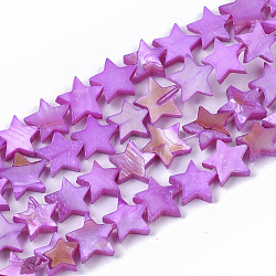 Chapelets de perles en coquille d'eau douce , teinte, étoiles du nord, violet foncé, 9~10.5x9.5~11.5x2~3mm, Trou: 1mm, Environ 38 pcs/chapelet, 11.8 pouce ~ 13.3 pouces