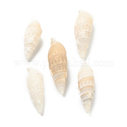 Perles de coquillage en spirale naturelle, perles non percées / sans trou, beige, 36.5~46x13~15x12~14mm