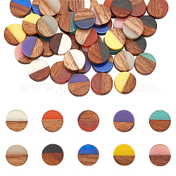 Cabochons aus Harz und Walnussholz, Flachrund, Mischfarbe, 10x3.5~4 mm, 10colors, 5 Stk. je Farbe, 50 Stück / Set