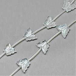Chapelets de perles en cristal de quartz naturel, papillon, 10~13x13~17x3~5mm, Trou: 0.5~1mm, Environ 14 pcs/chapelet, 15.55 pouce