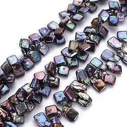 Naturales keshi abalorios de perlas hebras, perla cultivada de agua dulce, teñido, cuadrado, azul marino, 11~21x9~13x3~5mm, agujero: 0.5 mm, aproximamente 64~96 pcs / cadena, 16.14 pulgada (41 cm)