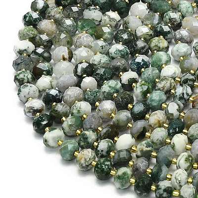 Натурального дерева агат бисер нитей G-P573-A17-01-1