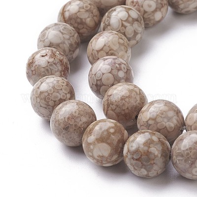 Природные окаменелые коралловые бусы пряди G-F563-02-8mm-1