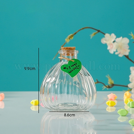 Стеклянная пустая бутылка желаний в форме тыквы BOTT-PW0003-004J-1