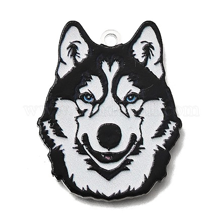 Печатные акриловые подвески&nbsp;OACR-P033-01F-1