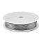 Baking Paint Iron Wire, Round, Silver, 0.3mm, about 164.04 Feet(50m)/Roll