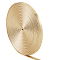 5M Flat Imitation Leather Cord, for Pillow Decor, Gold, 5x0.8mm, about 5.47 Yards(5m)/Roll