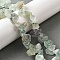 Natural Fluorite Beads Strands, Rough Raw Stone, Nuggets, 7~20x12~23x6~18mm, Hole: 0.8~1mm, about 18~30pcs/strand, 7.48''~8.07''(19~20.5cm)