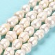 Natural Cultured Freshwater Pearl Beads Strands PEAR-E016-109-2