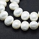 Shell Pearl Beads Strands BSHE-F001-02B-3