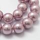Rainbow Plated Shell Pearl Bead Strands BSHE-L025-8mm-M-4