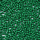 Glass Seed Beads SEED-S060-A-F280-3