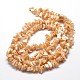 Brins de perles de coquillage naturel G-E271-62-2