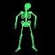 Leuchtendes Skelettmodell aus Kunststoff LUMI-PW0006-47A-4
