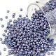 Toho perles de rocaille rondes SEED-TR11-1204-1