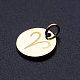 201 Stainless Steel Charms STAS-T049-T644-1G-2