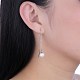 925 Sterling Silver Dangle Earrings and Stud Earrings EJEW-BB30466-4