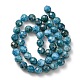 Natural Apatite Beads Strands G-G927-32-8MM-2