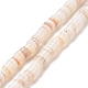 Eau douce naturelle de coquillage perles brins X-SHEL-G011-09-A02-1