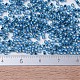 MIYUKI Delica Beads X-SEED-J020-DB0149-4