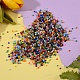 160G 8 Style Glass Seed Beads SEED-SZ0001-009-3
