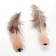Chicken Feather Costume Accessories FIND-R038-10-1