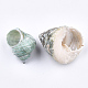 Perles de coquillages en spirale SSHEL-T005-04-2