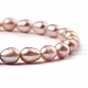 Natürliche kultivierte Süßwasserperlen Perlen Armbänder BJEW-JB05325-02-2