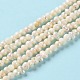 Natural Cultured Freshwater Pearl Beads Strands PEAR-E018-46-2