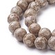 Natural Fossil Coral Beads Strands G-F563-02-8mm-3