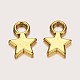 Tibetan Style Alloy Charms GLF0790Y-NF-2
