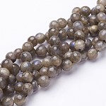 Chapelets de perles en labradorite naturelle , facette, ronde, 6mm, Trou: 0.8mm