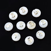 Бусины из натуральных пресноводных ракушек SHEL-N003-20-05