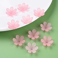 Perles en acrylique transparente&nbsp;LS-MACR-S373-107-D05