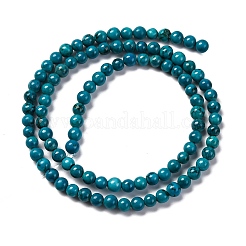 Природные Говлит бисер нитей G-A239-01