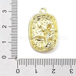 Подвески из эмали и сплава&nbsp;ENAM-R001-02G-02