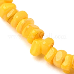Bracelets extensibles en perles de coquillages d'eau douce naturelles teintées pour hommes et femmes&nbsp;BJEW-JB12477-03