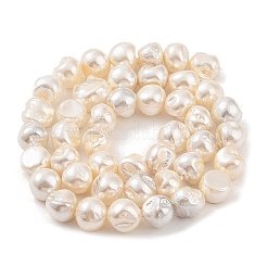 Fili di perle di conchiglie galvanizzate&nbsp;BSHE-C006-01C