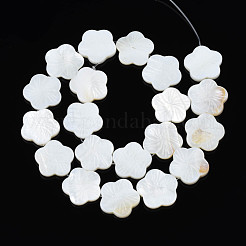 Нити бусин из натуральных пресноводных ракушек SHEL-N026-188