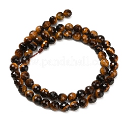 Природных тигровый глаз бисер нитей&nbsp;G-L642-F01-6mm