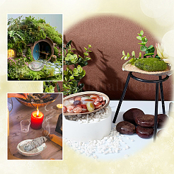 12 шт. 6 стиля украшения для демонстрации натуральных раковин морских ушек DJEW-GA0001-69