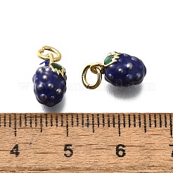 Латунь эмаль подвески&nbsp;KK-P295-46G