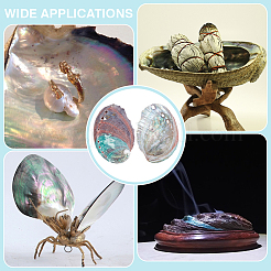 500 г натуральных ракушечных бусин SSHEL-PH0001-38