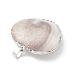 Подвески из натуральной морской раковины SHEL-F005-02P