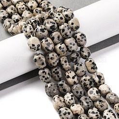 Природные яшмы далматин бисер нитей G-G146-A24-01