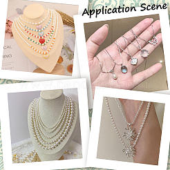 Подставки для ожерелий в форме бюста из бука NDIS-WH20010-02A